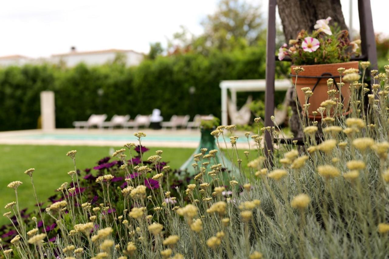 Trullo Rinaldi - Private Pool And Sauna Castellana Grotte Luaran gambar